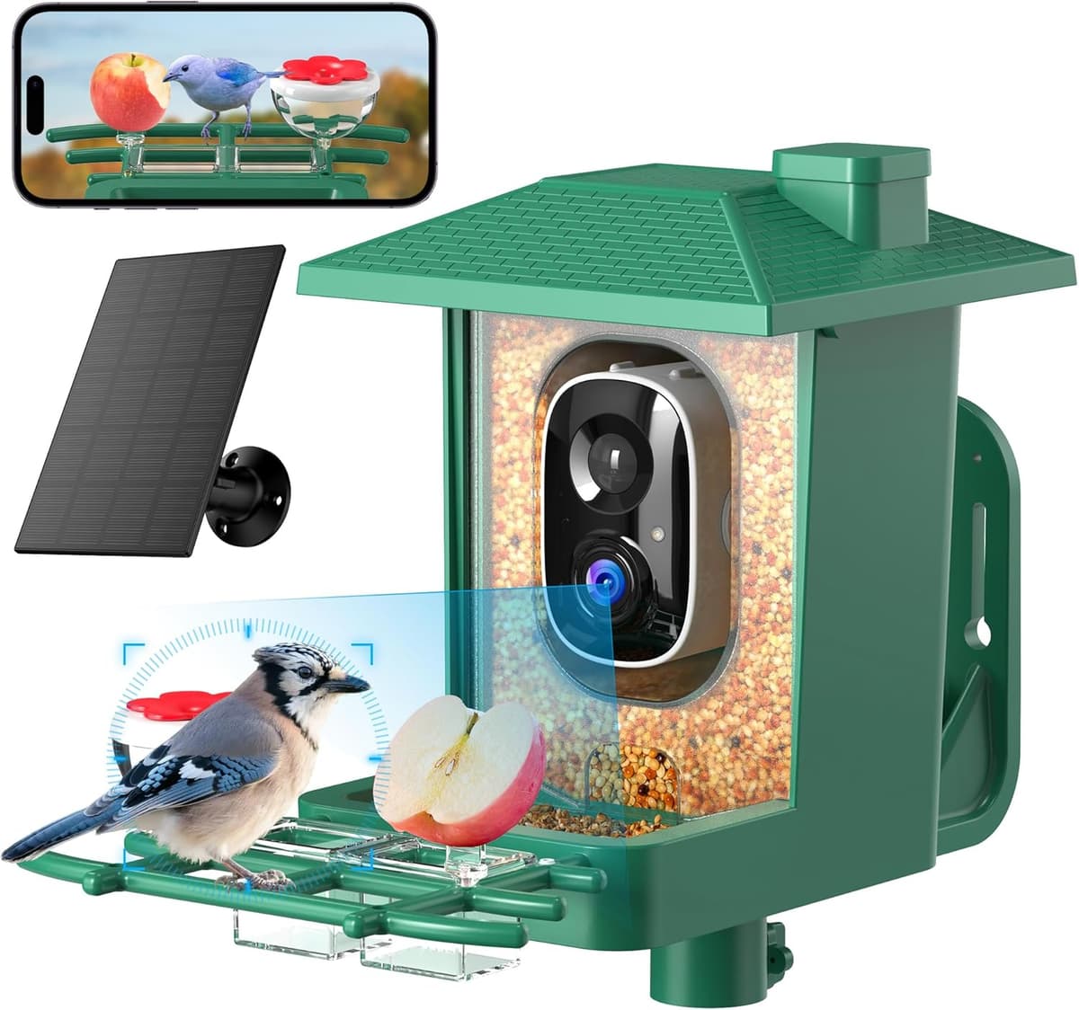 Comedero Inteligente para Aves con Cámara